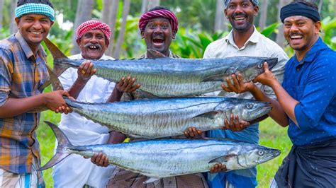 nigfish|big fish gry.